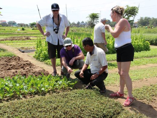 Cycling-to-Tra-Que-Herb-Village-Join-Cooking-class3 Cycling-to-Tra-Que-Herb-Village-Join-Cooking-class3