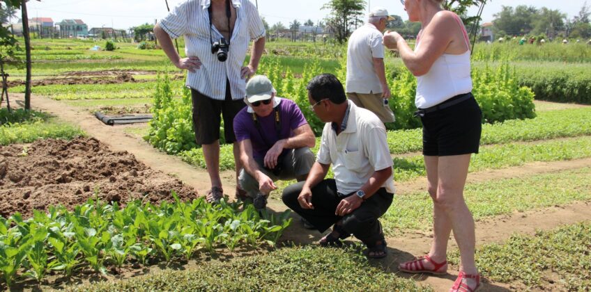 Cycling-to-Tra-Que-Herb-Village-Join-Cooking-class3 Cycling-to-Tra-Que-Herb-Village-Join-Cooking-class3