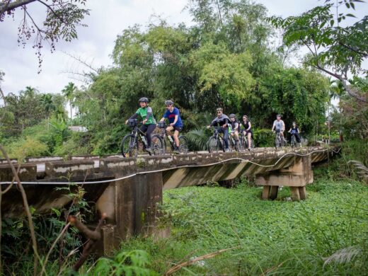 Grasshopper-Tours-9370