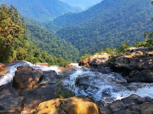 bach-ma-national-park-trekking-tour-from-hue-danang-hoian-2731496