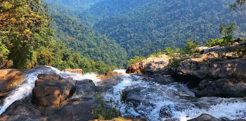 bach-ma-national-park-trekking-tour-from-hue-danang-hoian-2731496