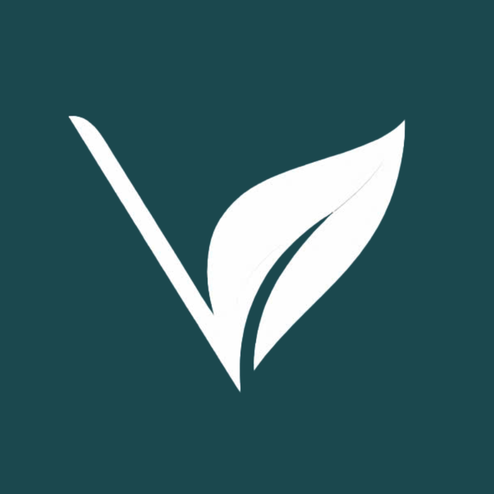 Vietnam Haven Travel