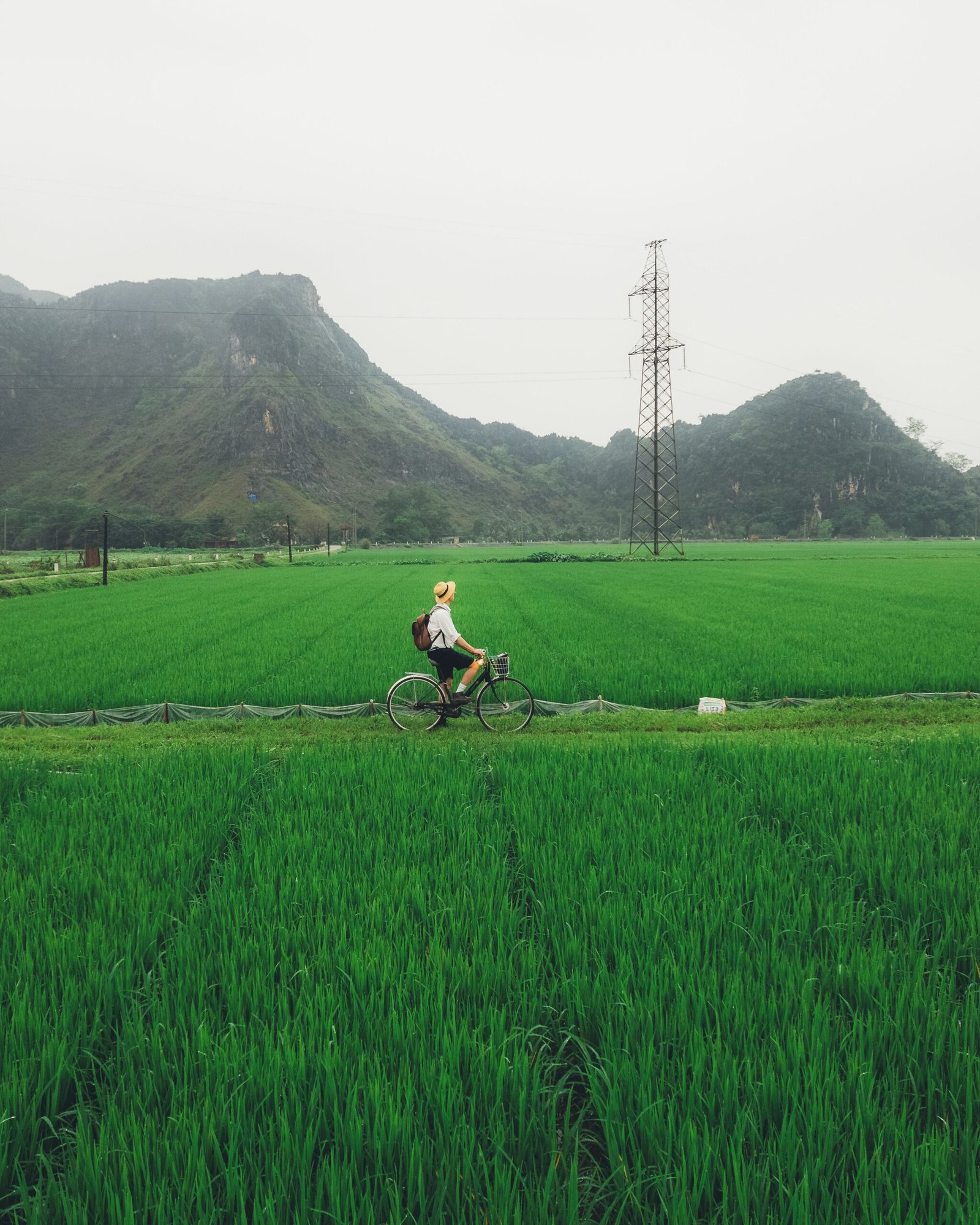 Rice fields and stilt houses in Mai Chau valley, easy for families