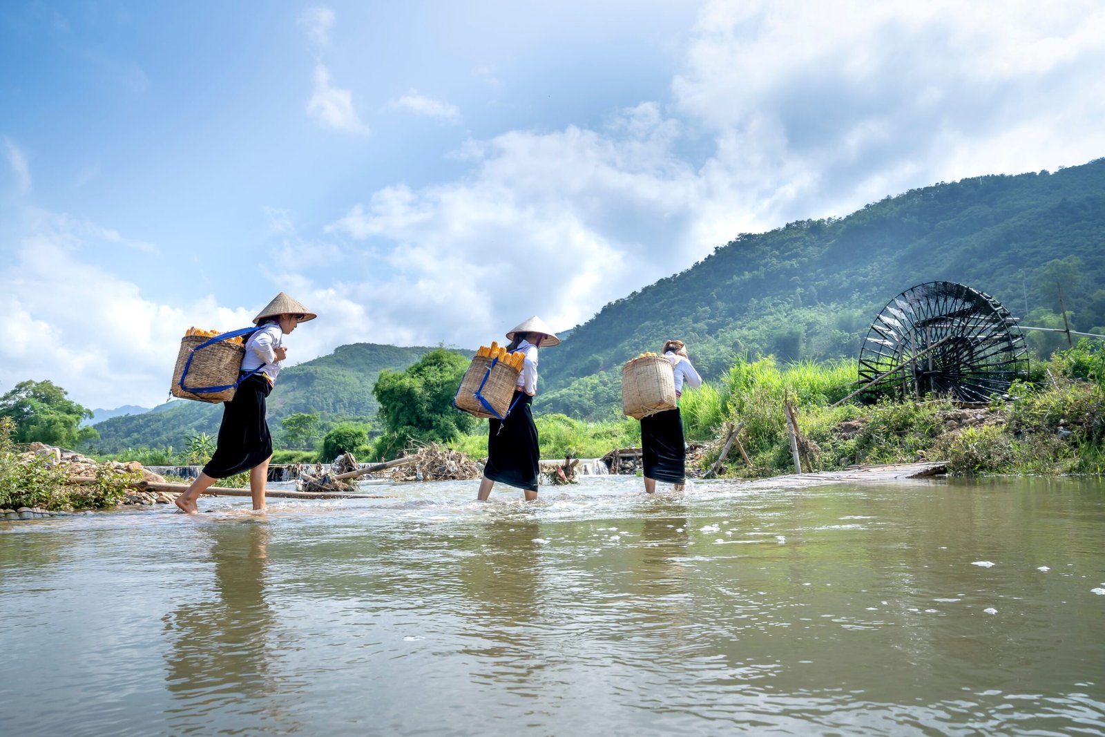 Rice terraces in Pu Luong, Northern Vietnam
